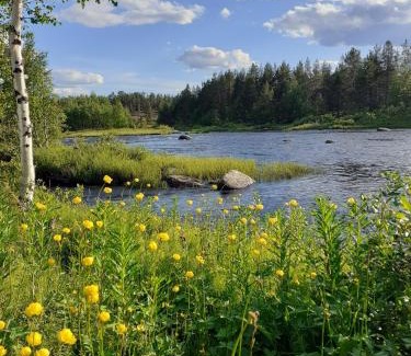 Palojoensuu House | Guest Rated 9/10: LappHouse Puistola with Ocean View & Hot Tub