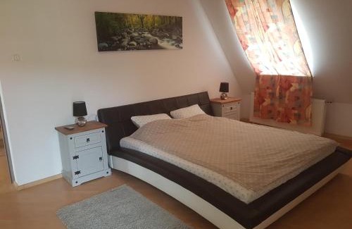 Sfantu Gheorghe House | Pet-Friendly Retreat at Lara Guest House with Family Amenities