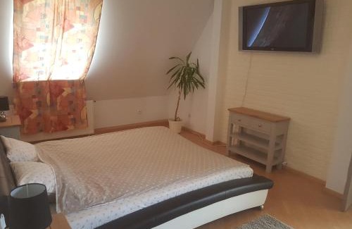 Sfantu Gheorghe House | Pet-Friendly Retreat at Lara Guest House with Family Amenities