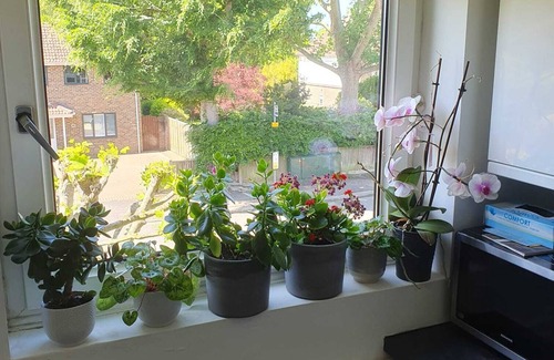 Horsham Apartment | Cozy 1 Bedroom Flat with Kitchen, Perfect for Families