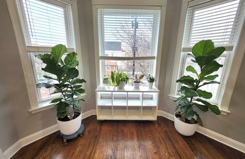 Logan Square Apartment | Stylish 3-Bedroom Retreat in Logan Square near Downtown