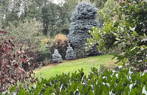Dundee House | Large 7-bd house with 20’ Ceilings Jacuzzi Dry Sauna Wifi Vineyard Valley Views