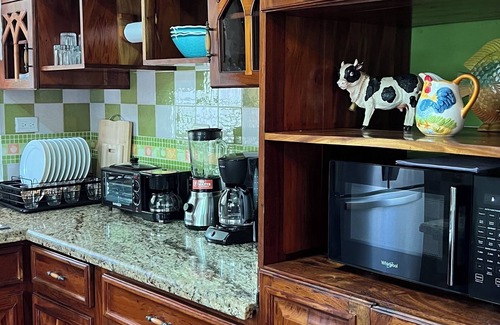 Pena Blanca House | Large and elegant house in front of El Canal Kayak, Los Naranjos, Lago de Yojoa!