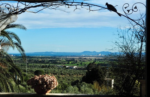 Roses Villa | Tranquil Retreat Amidst Olive Trees with Oceanfront Views