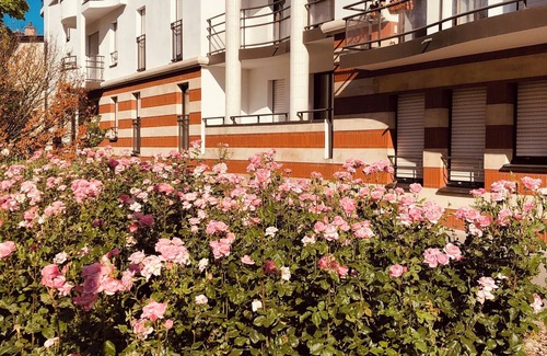 Saint-Pierre - Rene II - Bonsecours Apartment | Large apartment T2 48 M2 - Place des Vosges & Sciences po area