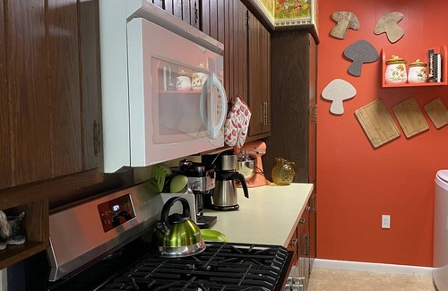 Williamsport House | Mid Century Mountain House - Guest Rated 10/10, Pet Friendly