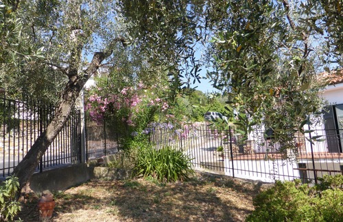 Cason della Guardia Apartment | Bright Apartment with Balcony, Garden & Ocean View