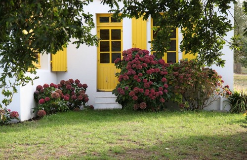 Ile d'Yeu House | Secluded Coastal Retreat with Ocean Views and Pet-Friendly Amenities
