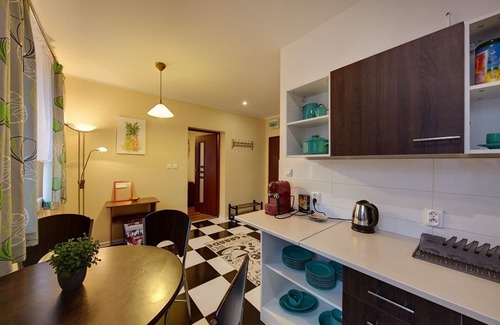 Katowice Apartment | Cozy Apartment in Katowice with Fully Equipped Kitchen