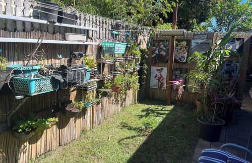 Thuringowa Central House | Large ensuite room with courtyard opposite the twin city hotel & Riverway