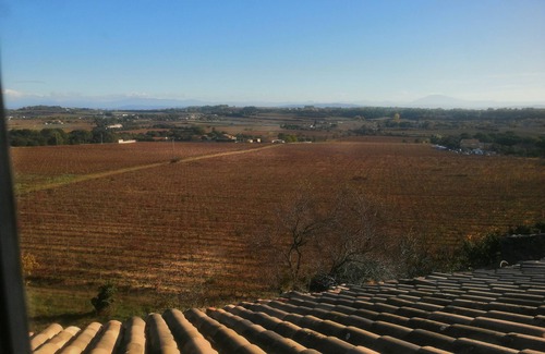 Saint-Marcel-d'Aredeche House | Grand Mas Provençal Family Home with Pool Surrounded by Nature