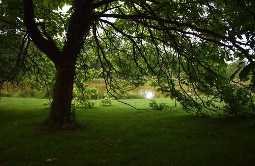 Saint-Lumine-de-Clisson House | Large house, absolute peace and quiet and guaranteed relaxation