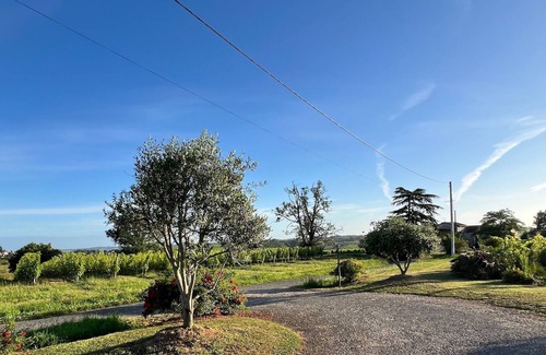 Loupiac House | LARGE HOUSE WITH SWIMMING POOL SURROUNDED BY VINEYARDS