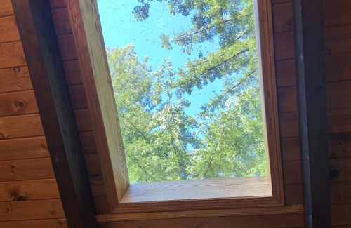 Fortuna House | Spacious Redwood Retreat for Families & Pets, Rated 9.4/10