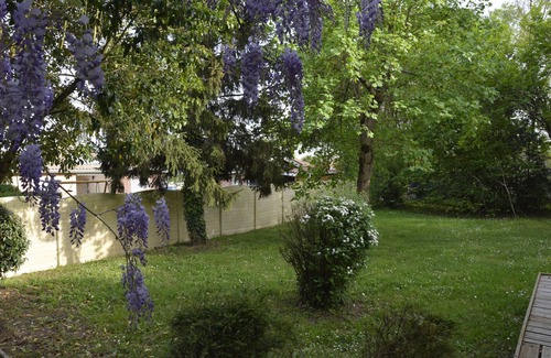 Ambares-et-Lagrave Apartment | Cozy Independent Studio with Pool Near Bordeaux, Rated 9.8