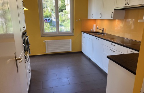 Neuchatel Apartment | Inviting Penthouse Apartment Overlooking the Lake