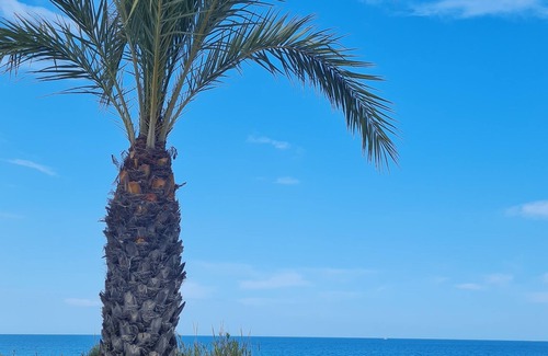 Els Arenals del Sol House | Rooftop Terrace & Pool Oasis Near Alicante's Beaches