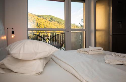 Sinaia Apartment | Inviting Studio for 4 with Parking & Top Guest Ratings