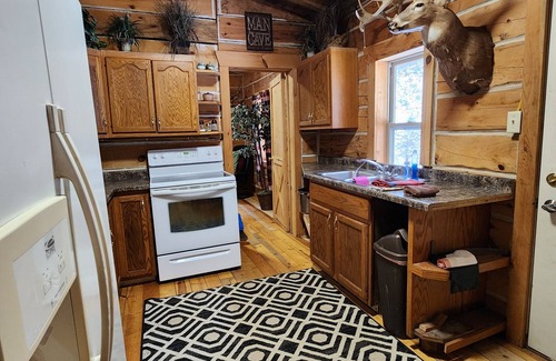 Crawford County Cabin | Cozy Larsen Hunters Rustic Cabin with Kitchen & Pet-Friendly