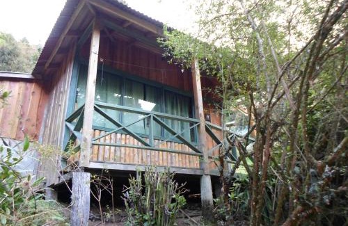 Copey Hotel | Discover Hotels in San Gerardo de Dota, Costa Rica
