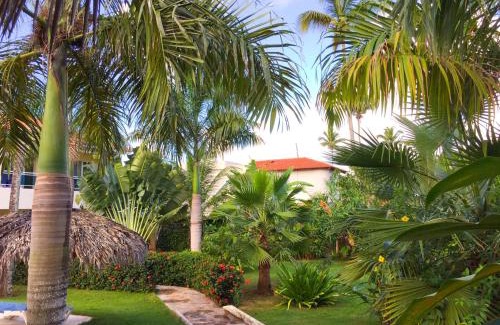 Las Galeras Hotel | Beachfront Bliss at Las Galeras Hotel - 8/10 Guest Rated