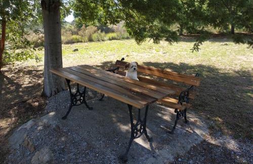 Tandil House | Pet-Friendly Las Golondrinas: Guest Rated 9.8/10