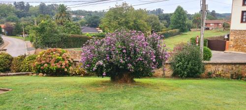 Alfoz de Lloredo House | Experience Family-Friendly Comfort at Las Parientucas