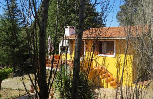 Los Reartes Cabin | Iconic Las Princesas Cabañas with Ocean View & Hot Tub