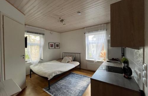Kadriorg Apartment | Laura comfy city apartment studio Kappeli 8-2 near Tallinn airport, next to the bus station