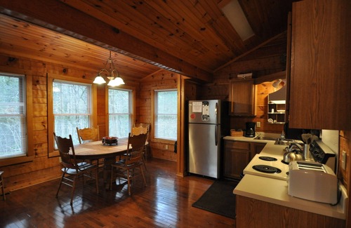 Townsend Cabin | Laurel Mist: Family Retreat with Pool and Pet-Friendly Perks