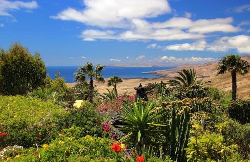 La Asomada Apartment | Relaxing Casa Lava with Ocean View & Beautiful Garden