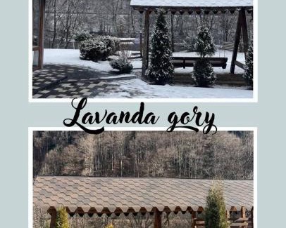 Dilove House | lavanda gory