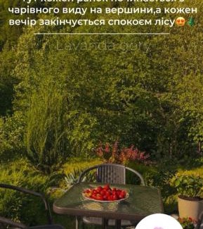 Dilove House | lavanda gory