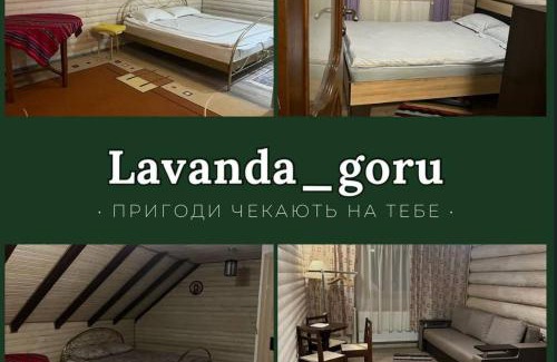 Dilove House | lavanda gory