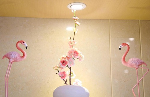 Longhua District Hotel | Convenient Stay at Lavande Hotels near Shenzhen North Station