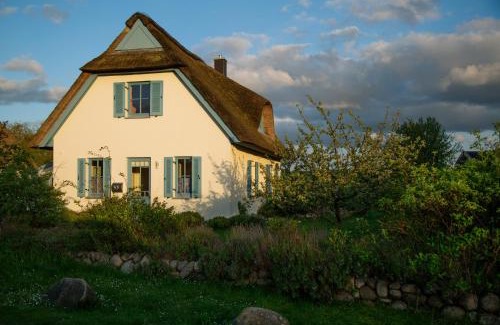 Insel Poel House | Discover Lavendel: Pet-Friendly 4-Star Family Retreat