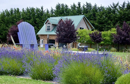 Sequim House | Lavender Farm House: Steps from the Ocean & Olympic Park
