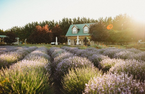Sequim House | Lavender Farm House: Steps from the Ocean & Olympic Park