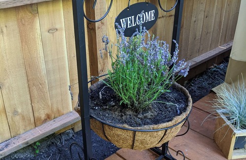 Sequim RV Rental | Cozy Lavender Glamping Tent with Fire Pit & Mini Fridge
