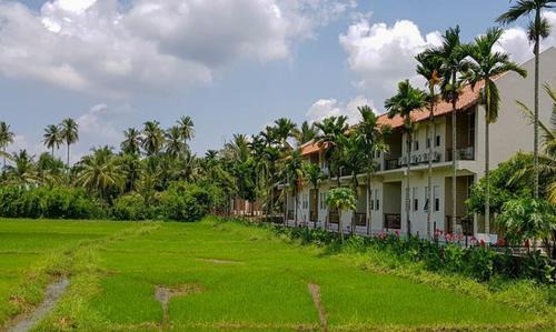 Nochchiyagama Hotel | Relaxing Stay at Lavendish Wild Wilpattu with Pool & Dining