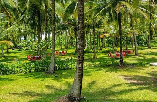 Nochchiyagama Hotel | Relaxing Stay at Lavendish Wild Wilpattu with Pool & Dining