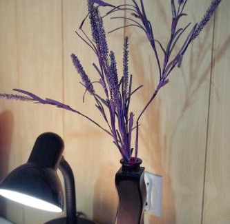 Starogard Gdanski Apartment | Explore Lawendowe Studio: Pet-Friendly with 10/10 Reviews