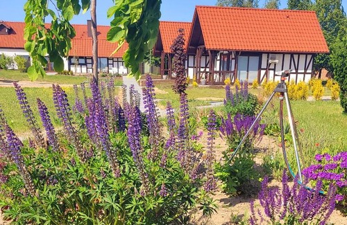 Ustka House | Top-Rated Family Retreat at Lawendowy Zakątek Machowino