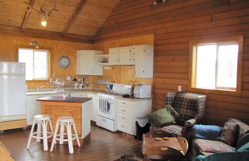 Mason Cabin | Pet-Friendly Lazy B Ranch Guest House with a Perfect Score