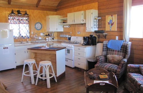 Mason Cabin | Pet-Friendly Lazy B Ranch Guest House with a Perfect Score