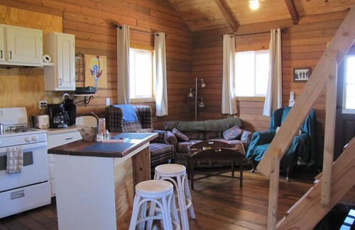 Mason Cabin | Pet-Friendly Lazy B Ranch Guest House with a Perfect Score