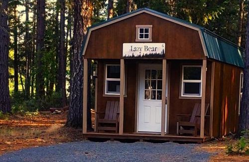 Cave Junction House | Pet-Friendly Lazy Bear Cabin 6 with Oceanfront Views
