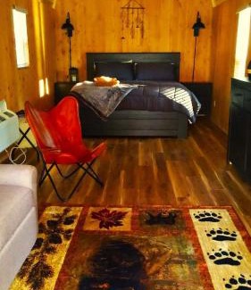 Cave Junction House | Pet-Friendly Lazy Bear Cabin 6 with Oceanfront Views