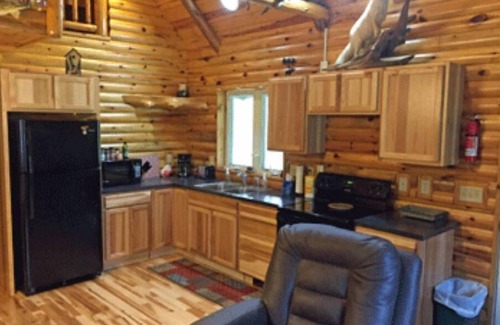 Blaney Park Cabin | Relaxing Retreat at Lazy Cedars Log Cabin with Ocean Views