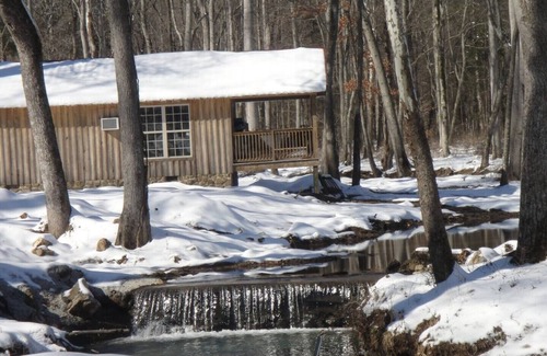Joppa Cabin | Idyllic Lazy G Cabin #4 with Pet-Friendly Amenities